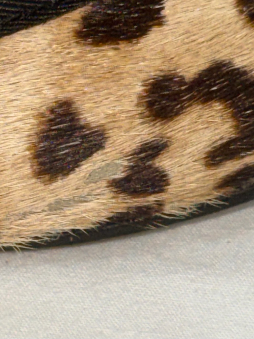 Sam Edelman Rini Leopard Print Calf Hair Pointed Toe Studded Ballet Flats 8M - Picture 10 of 11